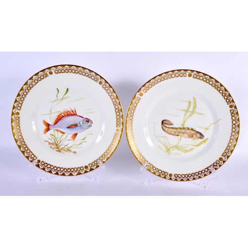 795 - EIGHT DANISH COPENHAGEN PORCELAIN PLATES painted with fish. 22 cm diameter. (8)