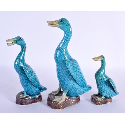 825 - THREE EARLY 20TH CENTURY CHINESE BLUE GLAZED PORCELAIN DUCKS Late Qing/Republic. Largest 21 cm high.... 