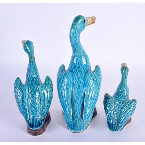 825 - THREE EARLY 20TH CENTURY CHINESE BLUE GLAZED PORCELAIN DUCKS Late Qing/Republic. Largest 21 cm high.... 