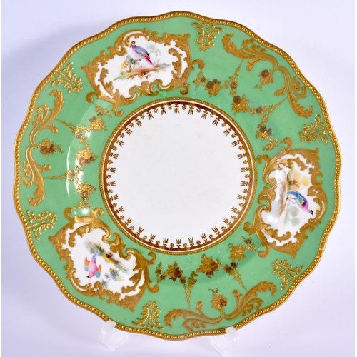 95 - Royal Crown Derby plate painted with exotic birds in gilt cartouches with raise paste tooled gilding... 