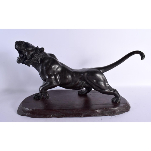 2434 - A VERY LARGE 19TH CENTURY JAPANESE MEIJI PERIOD BRONZE OKIMONO modelled as a roaming tiger. 54 cm x ... 