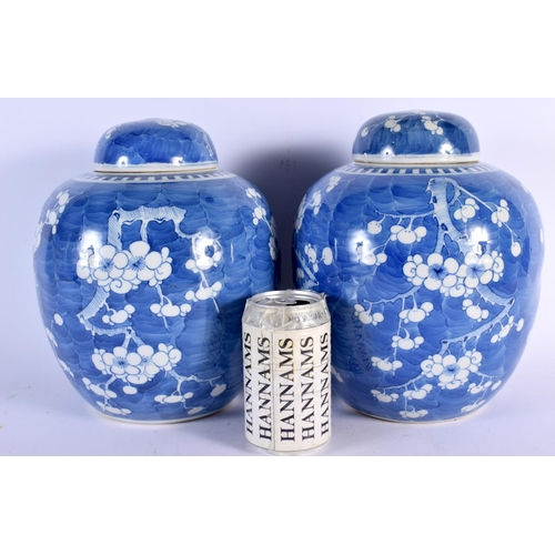 2458 - A LARGE PAIR OF 19TH CENTURY CHINESE BLUE AND WHITE GINGER JARS Kangxi style, painted with prunus. 2... 