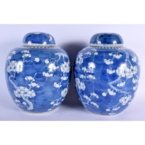 2458 - A LARGE PAIR OF 19TH CENTURY CHINESE BLUE AND WHITE GINGER JARS Kangxi style, painted with prunus. 2... 