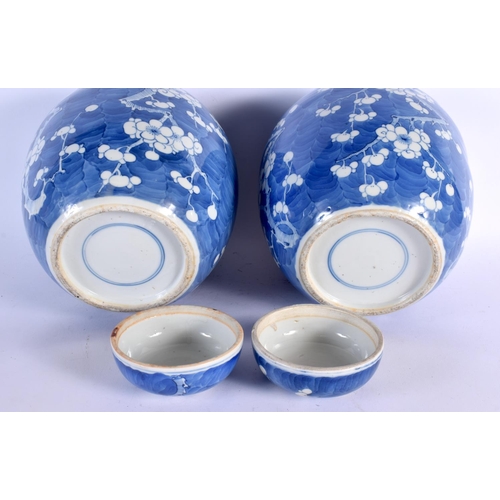 2458 - A LARGE PAIR OF 19TH CENTURY CHINESE BLUE AND WHITE GINGER JARS Kangxi style, painted with prunus. 2... 