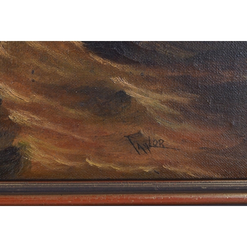 3785 - A framed 19th Century oil on canvas depicting a small sailing boat at sea signed Taylor . 29 x 39 cm... 