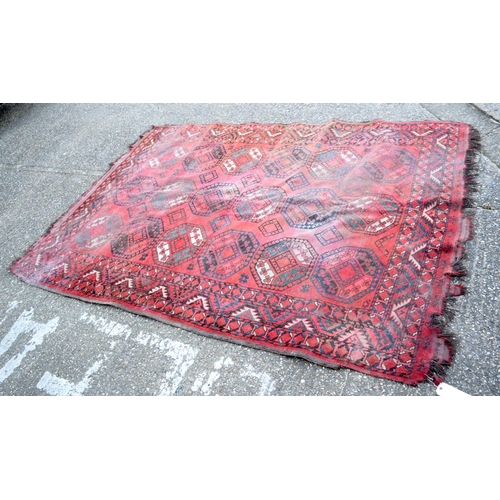 3990 - A large Turkman rug 295 x 210 cm.