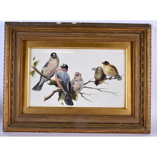 Lot 279       
