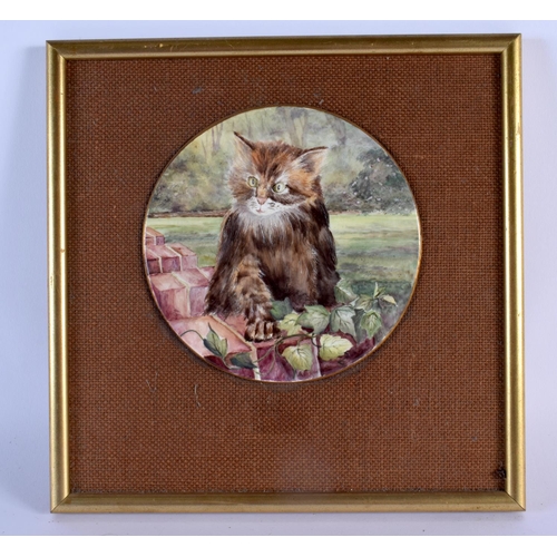 Lot 284       