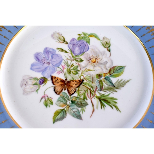 198 - Sevres plate painted with a bouquet of flowers and a butterfly under a light blue and gilt border ma... 