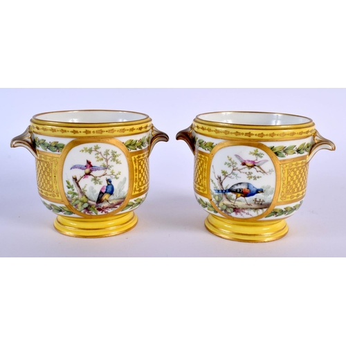 227 - 19th c. French pair of yellow ground cache pots painted with flowers and birds in Sevres style. 9Cm ... 