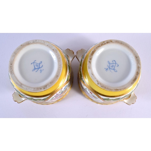227 - 19th c. French pair of yellow ground cache pots painted with flowers and birds in Sevres style. 9Cm ... 