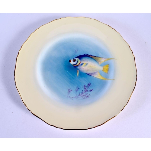 239 - Royal Worcester pair of plates painted with blue angel 'and sergeant fish by H. Ayrton, signed, 1... 