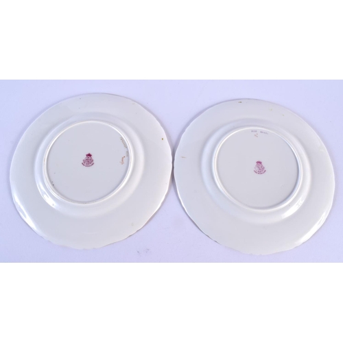 239 - Royal Worcester pair of plates painted with blue angel 'and sergeant fish by H. Ayrton, signed, 1... 