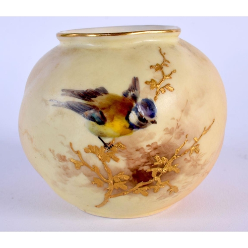 Lot 243       