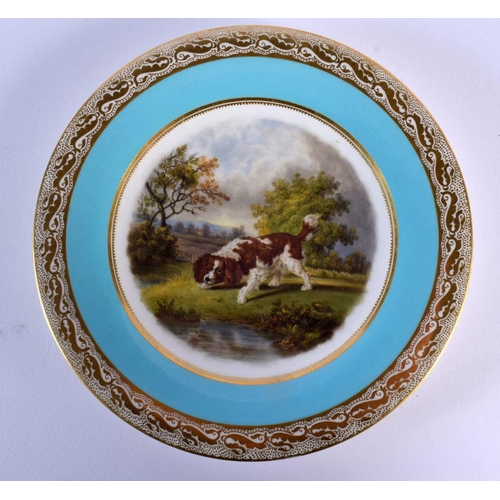 Lot 269       