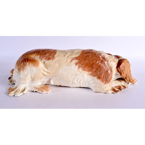 41 - A LARGE 19TH CENTURY CONTINENTAL PORCELAIN FIGURE OF A RECUMBENT DOG possibly Russian. 36 cm long.