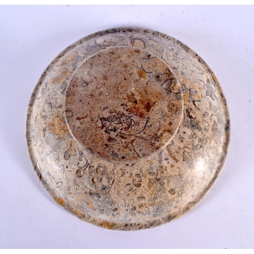 414 - AN EARLY 20TH CENTURY EUROPEAN FOSSILISED COUNTRY HOUSE STONE TAZZA. 18 cm diameter.