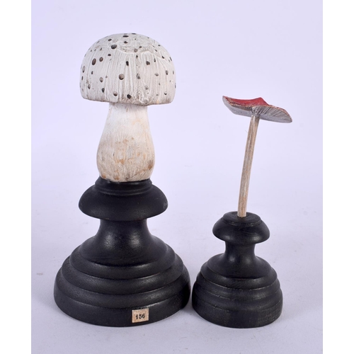 429 - TWO TAXIDERMY MUSHROOM FUNGUS SPECIMENS. 14 cm high. (2)