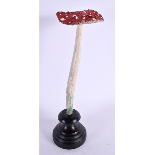 433 - A TAXIDERMY MUSHROOM FUNGUS SPECIMEN. 27 cm high.