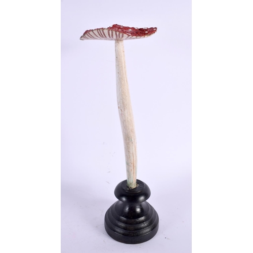 433 - A TAXIDERMY MUSHROOM FUNGUS SPECIMEN. 27 cm high.