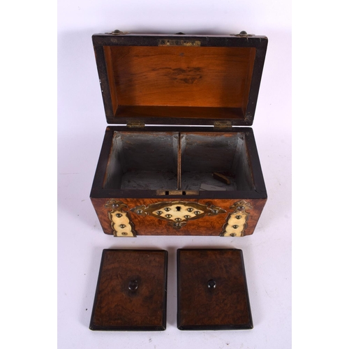 473 - AN ANTIQUE BURR WALNUT BRASS BOUND TEA CADDY. 21 cm x 15 cm.