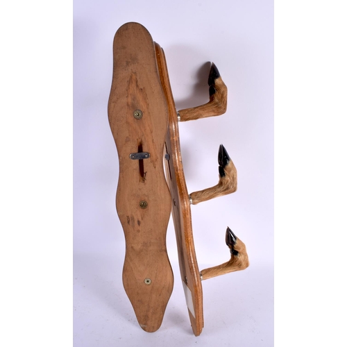 553 - A PAIR OF EDWARDIAN TAXIDERMY RIFLE WALL HOLDERS formed as animals hooves. 47 cm long.