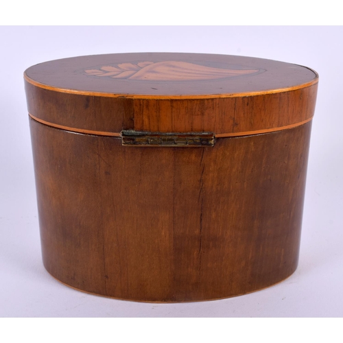 595 - AN ANTIQUE MAHOGANY SHELL TEA CADDY. 15 cm x 12 cm.