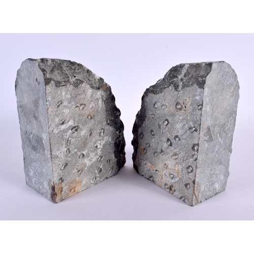 623 - PAIR OF 400 MILLION YEAR OLD GONIATITE FOSSIL BOOK ENDS. 15 cm x 18 cm.