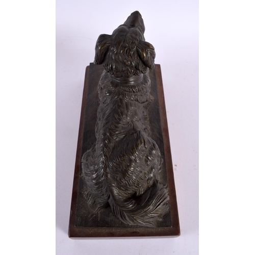 703 - European School (19th Century) Bronze, Seated hound. 26 cm x 18 cm.