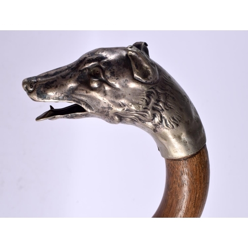 802 - AN ANTIQUE SILVER PLATED DOG HEAD WALKING CANE. 86 cm long.