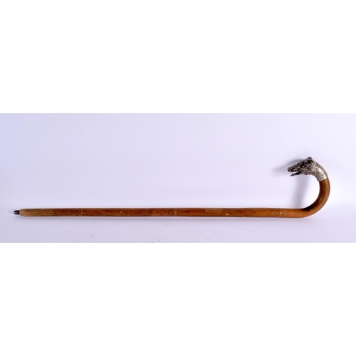 802 - AN ANTIQUE SILVER PLATED DOG HEAD WALKING CANE. 86 cm long.