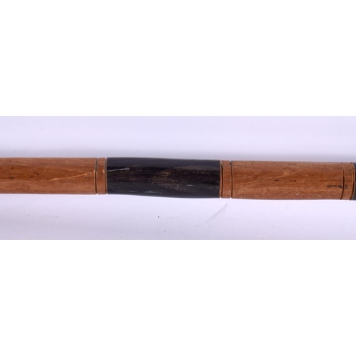 803 - A CARVED HORN BIRD HEAD WALKING CANE. 80 cm long.