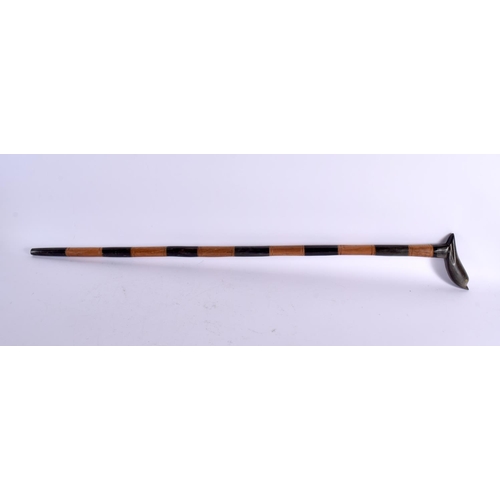 803 - A CARVED HORN BIRD HEAD WALKING CANE. 80 cm long.