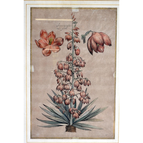 812 - EIGHT 18TH CENTURY CONTINENTAL HAND COLOURED ENGRAVINGS. 47 cm x 34 cm.