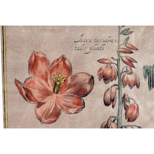 812 - EIGHT 18TH CENTURY CONTINENTAL HAND COLOURED ENGRAVINGS. 47 cm x 34 cm.