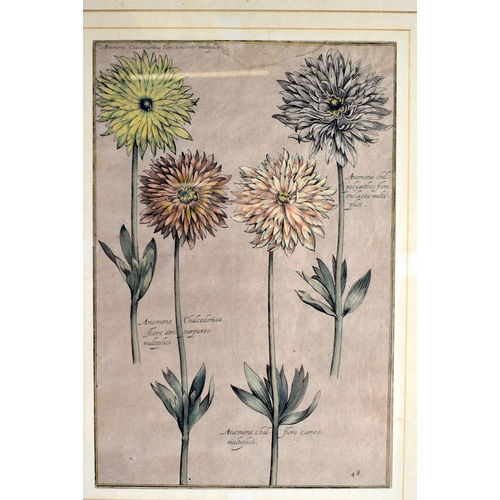 812 - EIGHT 18TH CENTURY CONTINENTAL HAND COLOURED ENGRAVINGS. 47 cm x 34 cm.