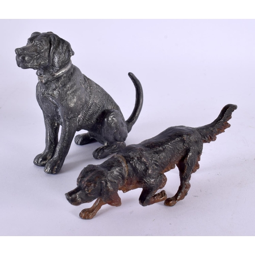 132 - AN ANTIQUE AUSTRIAN COLD PAINTED FIGURE OF A HOUND together with another similar figure. Largest 10 ... 