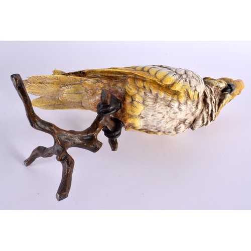 348 - A CONTEMPORARY CONTINENTAL COLD PAINTED BRONZE FIGURE OF A BIRD modelled upon a stump. 28 cm x 14 cm... 