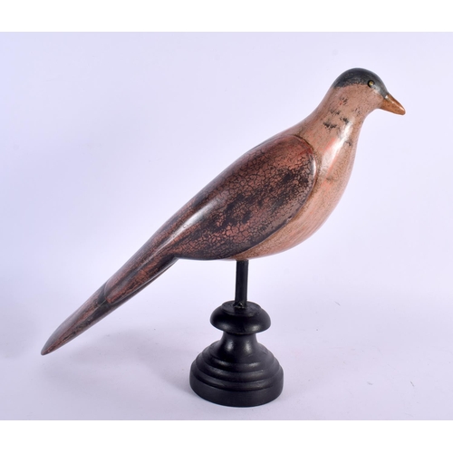 382 - A EUROPEAN PAINTED FOLK ART WOOD PIGEON DECOY. 27 cm x 18 cm.