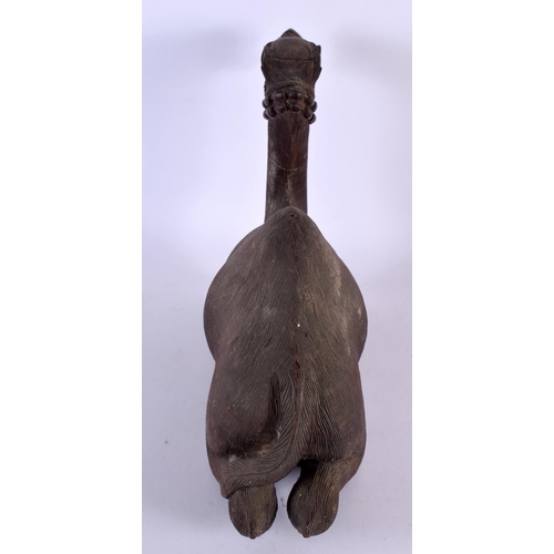 384 - A LARGE 19TH CENTURY ANGLO INDIAN CARVED HARDWOOD FIGURE OF A CAMEL modelled recumbent. 34 cm x 27 c... 