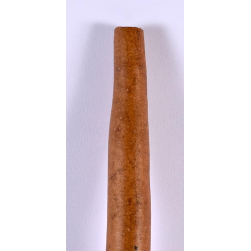 388 - A TRIBAL PAPUA NEW GUINEA PENIS SHEATH. 57 cm long.