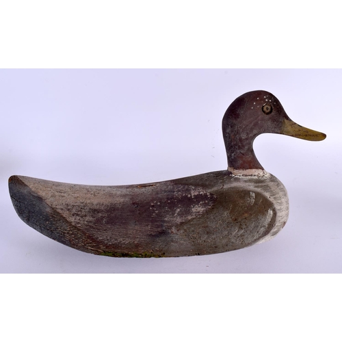 401 - A VINTAGE CARVED AND PAINTED WOOD DECOY DUCK. 34 cm x 18 cm.