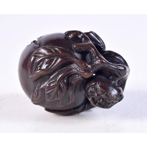 1205 - A JAPANESE BOXWOOD FRUITING POD NETSUKE. 5 cm x 3 cm.