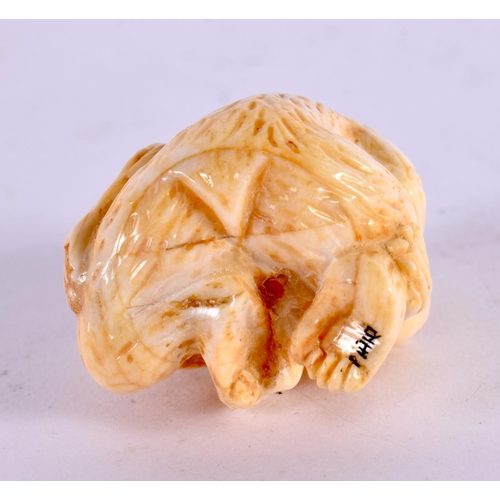 2170 - A JAPANESE BONE MONKEY OKIMONO. 5 cm x 3 cm.