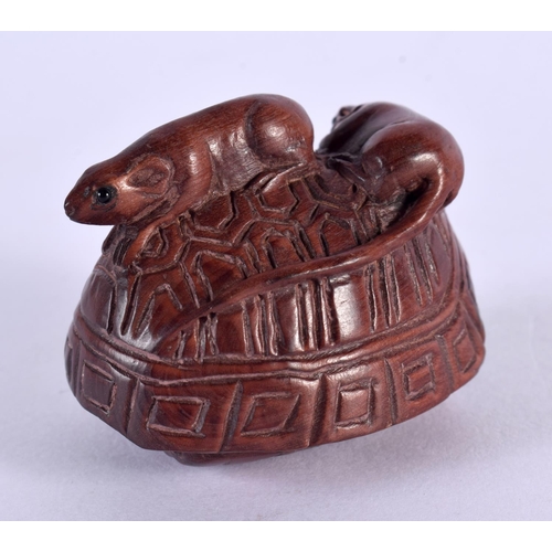 2229 - A JAPANESE CARVED BOXWOOD TORTOISE NETSUKE. 6 cm x 4 cm.