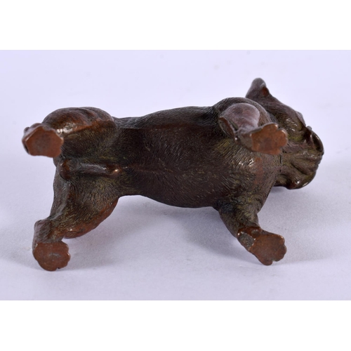 2230 - A JAPANESE BRONZE BULLDOG OKIMONO. 9 cm x 6 cm.