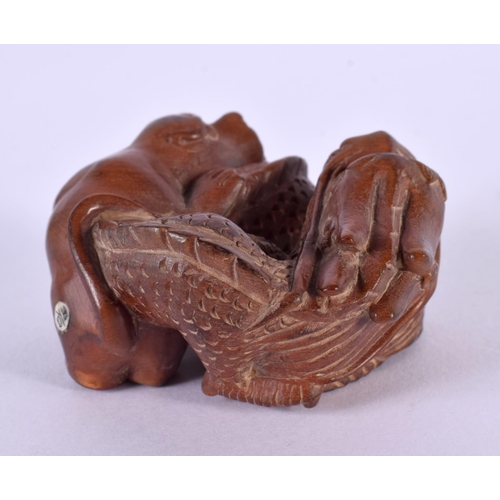 2238 - A JAPANESE CARVED BOXWOOD DRAGON NETSUKE. 8 cm x 6 cm.