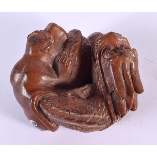 2238 - A JAPANESE CARVED BOXWOOD DRAGON NETSUKE. 8 cm x 6 cm.