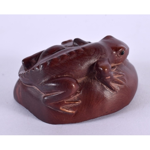 2241 - A JAPANESE CARVED BOXWOOD FROG AND MUSHROOM OKIMONO. 6 cm x 4 cm.