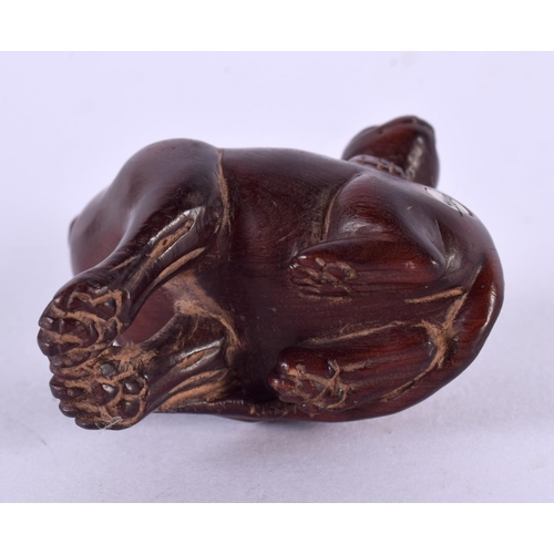 2242 - A JAPANESE CARVED BOXWOOD DOG NETSUKE. 5 cm x 3 cm.